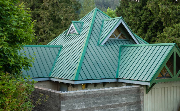 Best Roof Leak Repair  in Plains, MT
